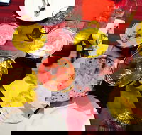 Gatton Indian Restaurant - Accommodation Mount Tamborine