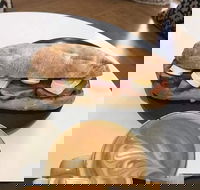 The Nest - Accommodation Mount Tamborine