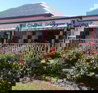 Coffee Pozzee Pty Ltd - Accommodation Mount Tamborine