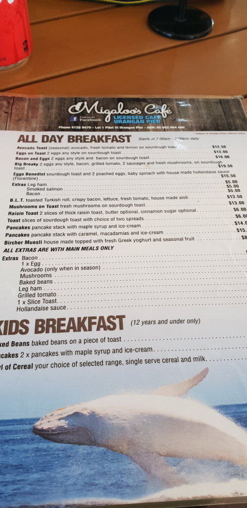 Migaloo's Cafe - Accommodation Mount Tamborine 3