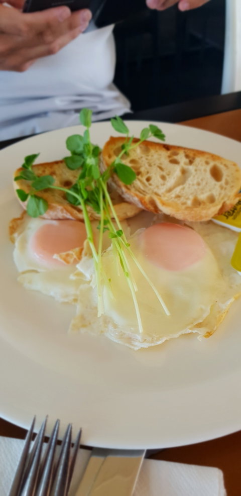 Migaloo's Cafe - Accommodation Mount Tamborine 5