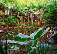 Daintree Eco Lodge  Spa - Accommodation Mount Tamborine