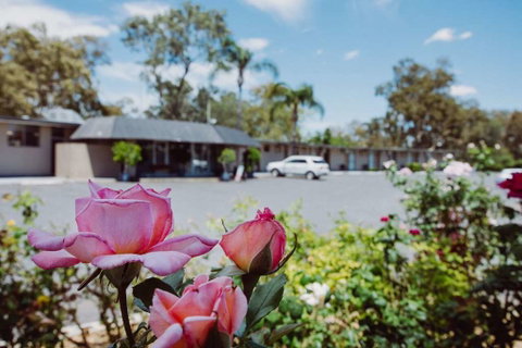 Artesian Spa Motor Inn - Accommodation Mount Tamborine 2