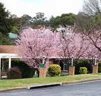 White Lanterns Motel - Accommodation Mount Tamborine