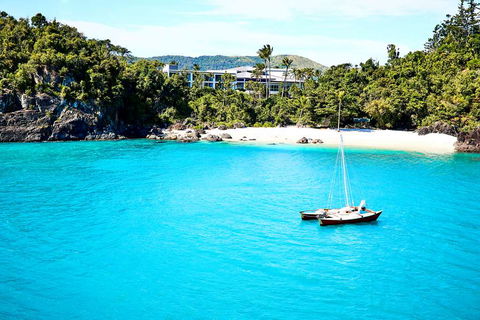 Daydream Island Resort - Accommodation Mount Tamborine 2