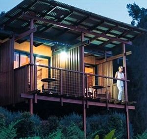 O'Reilly's Rainforest Guesthouse - Accommodation Mount Tamborine 1