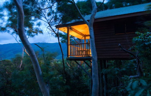 Thala Beach Nature Reserve - Accommodation Mount Tamborine 0