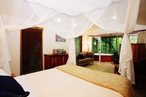 Daintree Eco Lodge & Spa - Accommodation Mount Tamborine 1