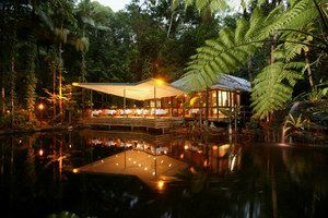 Daintree Eco Lodge & Spa - Accommodation Mount Tamborine 2