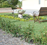SureStay by BW The Clarence on Melville - Accommodation Mount Tamborine
