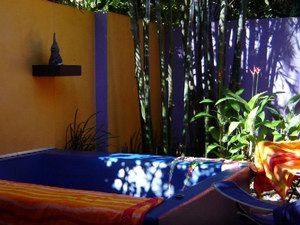 Pink Flamingo - Accommodation Mount Tamborine 1