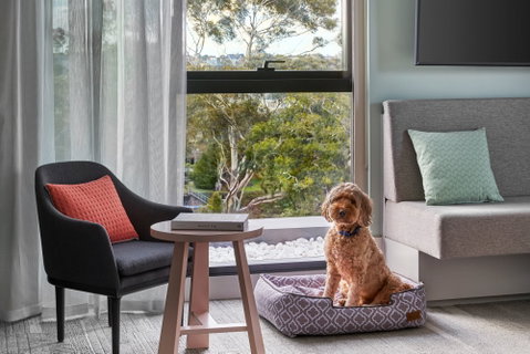 Element Melbourne Richmond - Accommodation Mount Tamborine 2