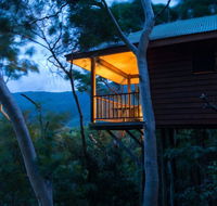 Thala Beach Nature Reserve - Accommodation Mount Tamborine
