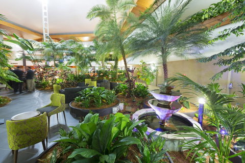 Pavilion On Northbourne - Accommodation Mount Tamborine 2