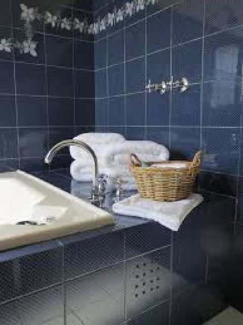 Stansbury Holiday Motel - Accommodation Mount Tamborine 11