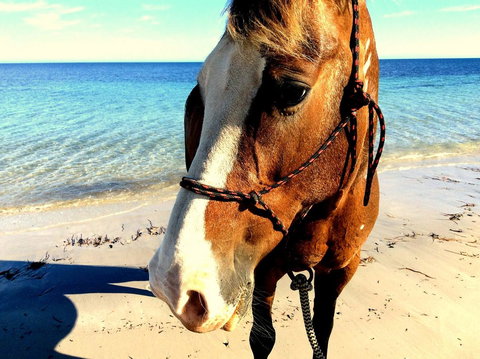 Lure Bed And Breakfast - Accommodation Mount Tamborine 15