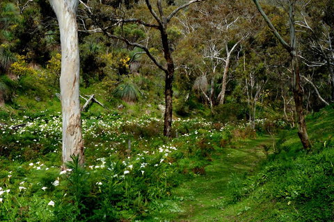 Lure Bed And Breakfast - Accommodation Mount Tamborine 17