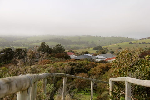 Lure Bed And Breakfast - Accommodation Mount Tamborine 19