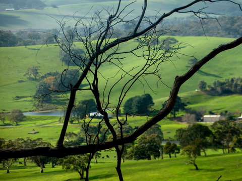 Lure Bed And Breakfast - Accommodation Mount Tamborine 21