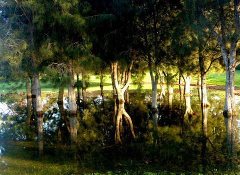 Lure Bed And Breakfast - Accommodation Mount Tamborine 18