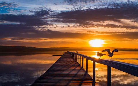 Lakeside Waterfront Apartment The Entrance - Accommodation Mount Tamborine 22