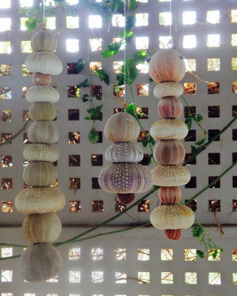 Driftwood On Dover - Accommodation Mount Tamborine 11