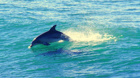 Mollymook Beach Waterfront - Accommodation Mount Tamborine 22