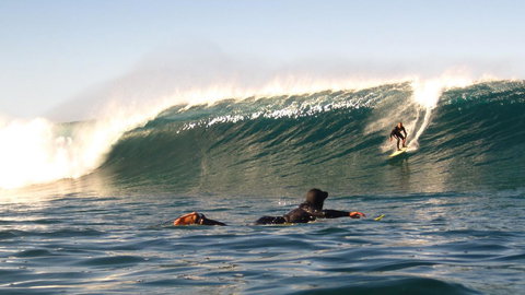 Mollymook Beach Waterfront - Accommodation Mount Tamborine 13