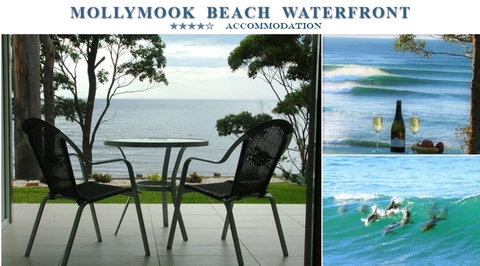 Mollymook Beach Waterfront - Accommodation Mount Tamborine 1