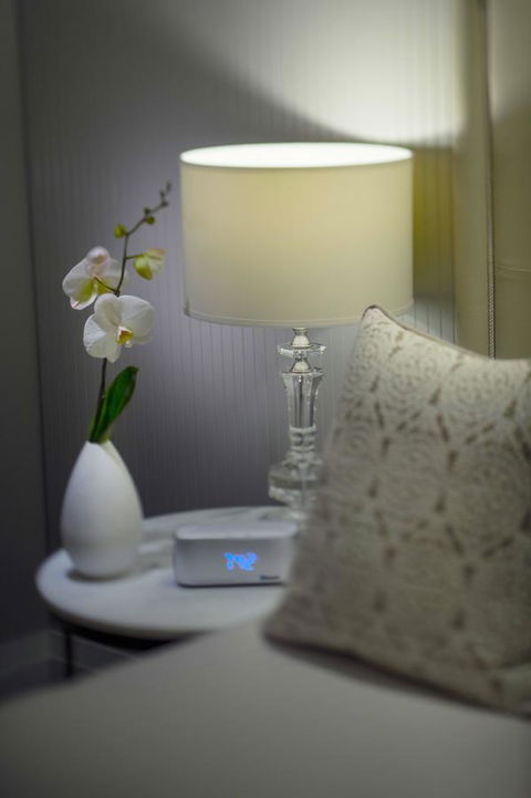 Mayfair Hotel - Accommodation Mount Tamborine 13