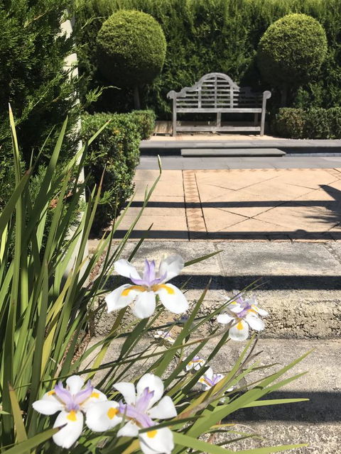S T U D I O 22 Peaceful Retreat With Garden Views - Accommodation Mount Tamborine 13