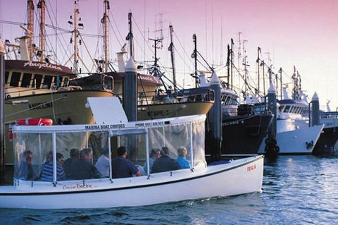 Bay 10 - Suites And Apartments - Accommodation Mount Tamborine 28