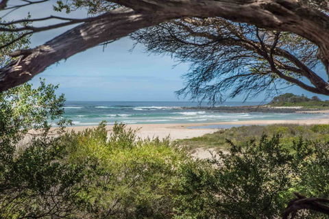 BIG4 Tasman Holiday Parks - Racecourse Beach - Accommodation Mount Tamborine 7