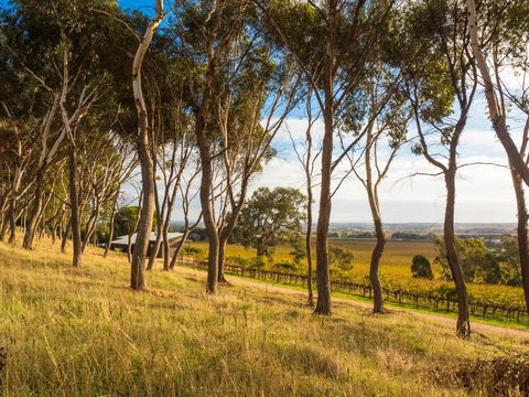 Shadow Creek McLaren Vale - Accommodation Mount Tamborine 5