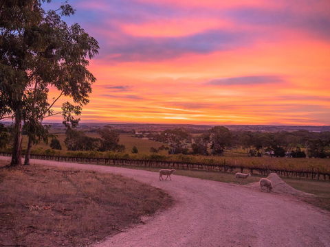 Shadow Creek McLaren Vale - Accommodation Mount Tamborine 24