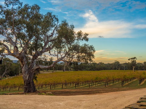 Shadow Creek McLaren Vale - Accommodation Mount Tamborine 23