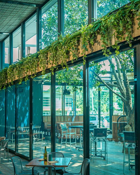 Marion Hotel - Accommodation Mount Tamborine 25