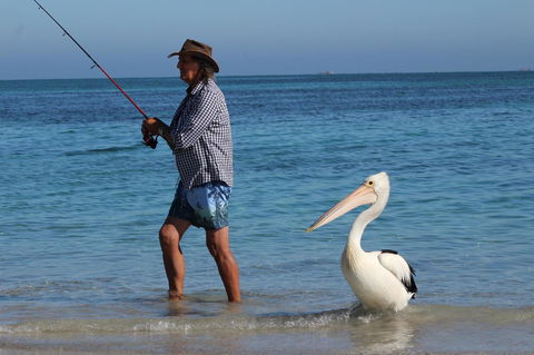 Ceduna Foreshore Caravan Park - Accommodation Mount Tamborine 21
