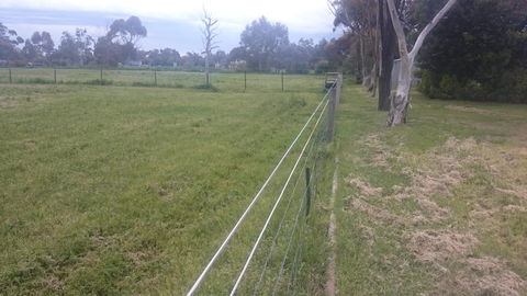 Gaerwood B&B - Accommodation Mount Tamborine 17
