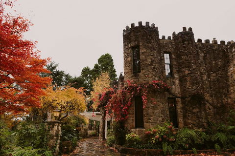 The Manor Basket Range - Accommodation Mount Tamborine 15