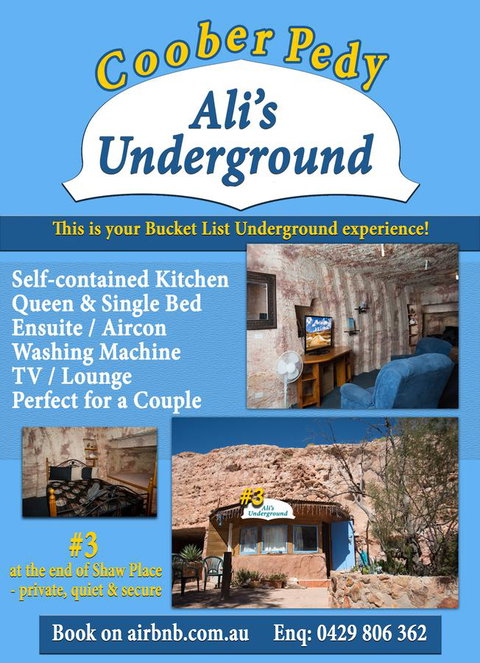Ali\'s Underground Studio - Accommodation Mount Tamborine 12