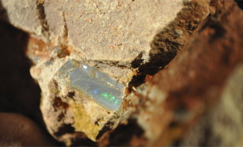 Ali\'s Underground Studio - Accommodation Mount Tamborine 21