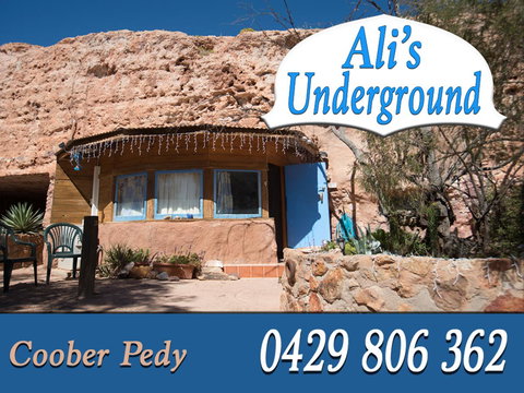 Ali\'s Underground Studio - Accommodation Mount Tamborine 2
