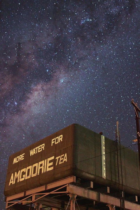 The Quorn-er House - Accommodation Mount Tamborine 25