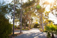 Book Tumby Bay Accommodation Vacations Accommodation Mount Tamborine Accommodation Mount Tamborine