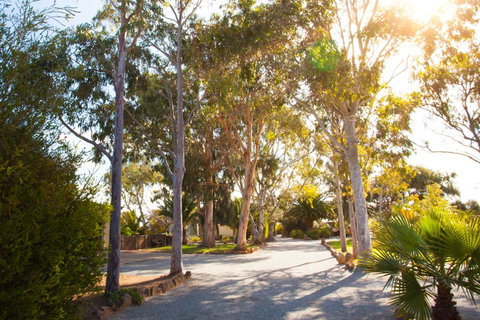 Modra\'s Apartments - Accommodation Mount Tamborine 0