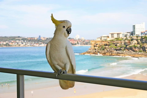 Beachfront Bliss - Accommodation Mount Tamborine 23