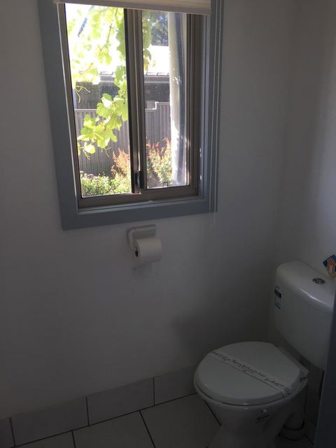SHAKIN' SHACK - Accommodation Mount Tamborine 17