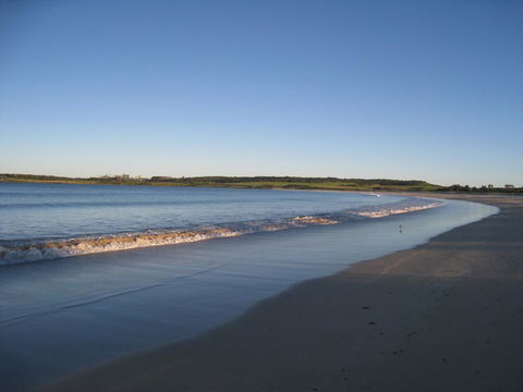 Pelicans Rest Shellharbour - Accommodation Mount Tamborine 17