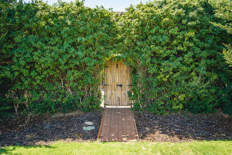 Mick O\'Sheas - Accommodation Mount Tamborine 32